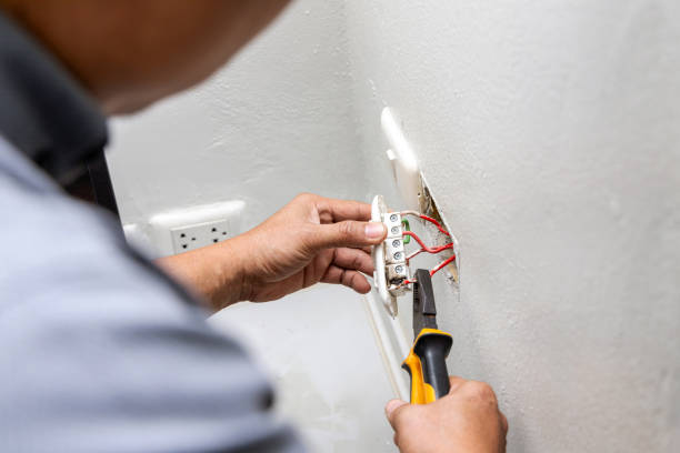 Best Electric Panel Repair  in Northfield, IL